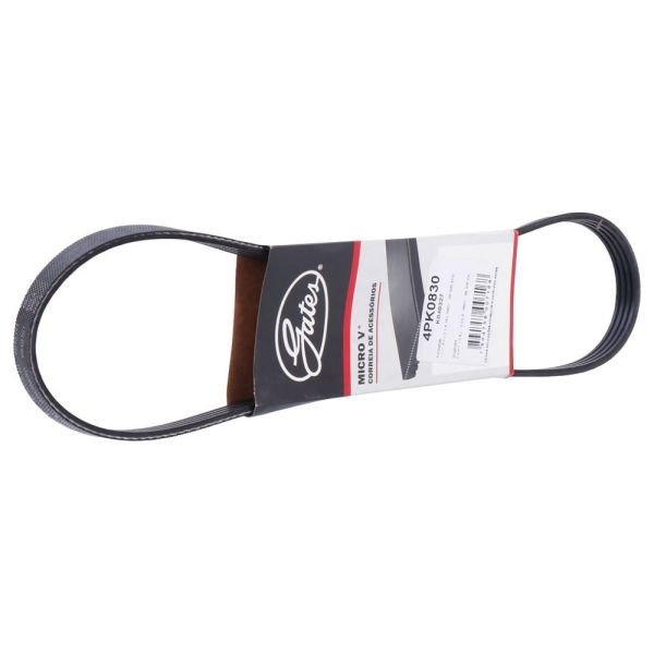 Correa Poly-V Gates 3PK0695